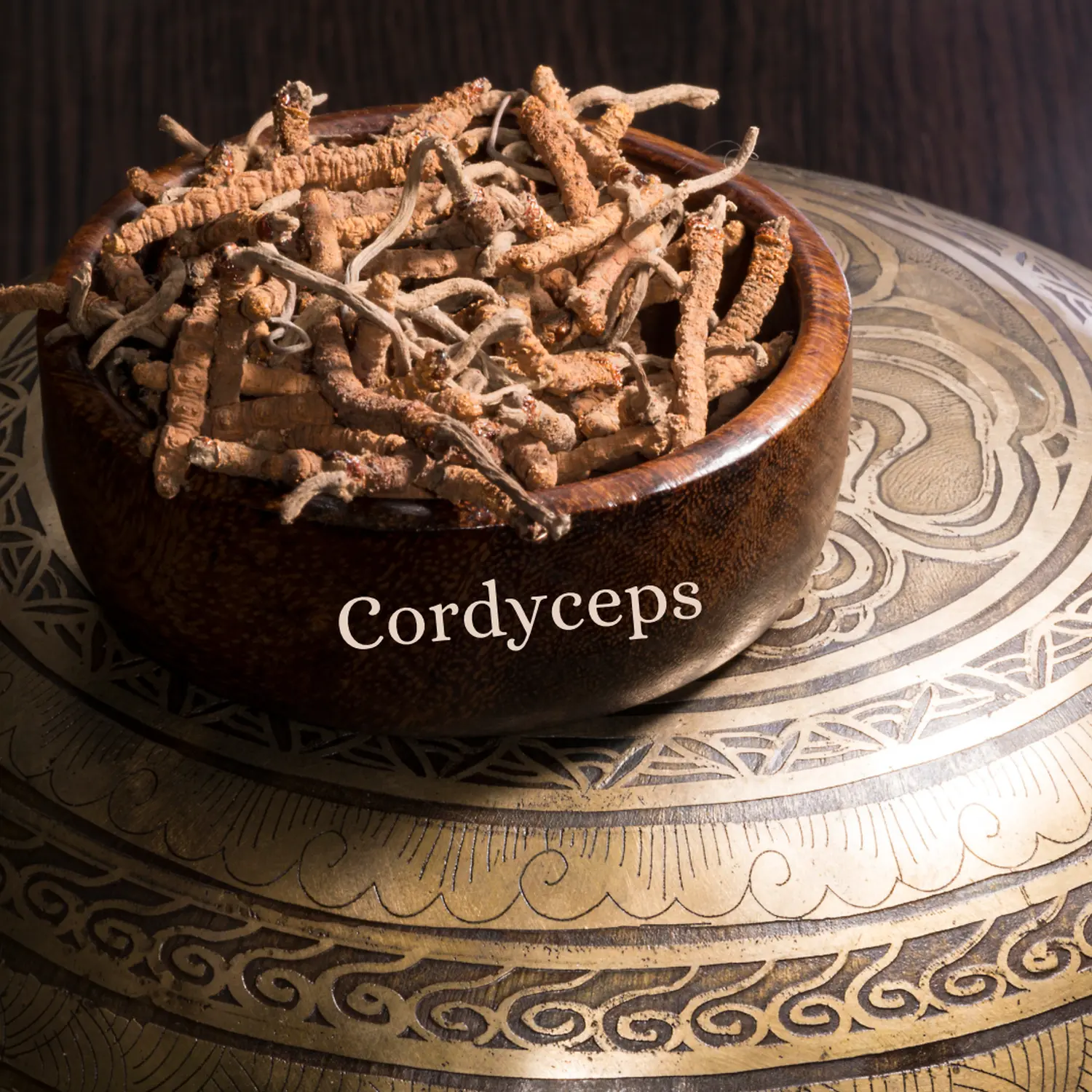 Nadine Schmidt - Naturheilpraxis, Medizinische Cordyceps-Pilze