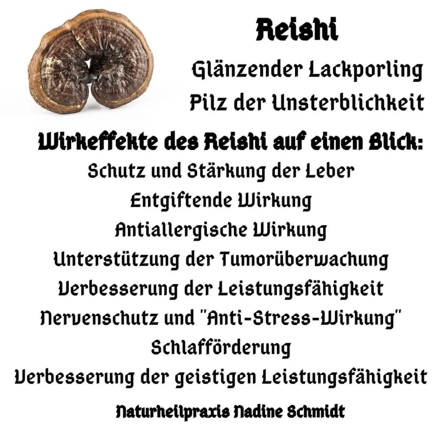 Nadine Schmidt - Naturheilpraxis, „Reishi“-Informationen